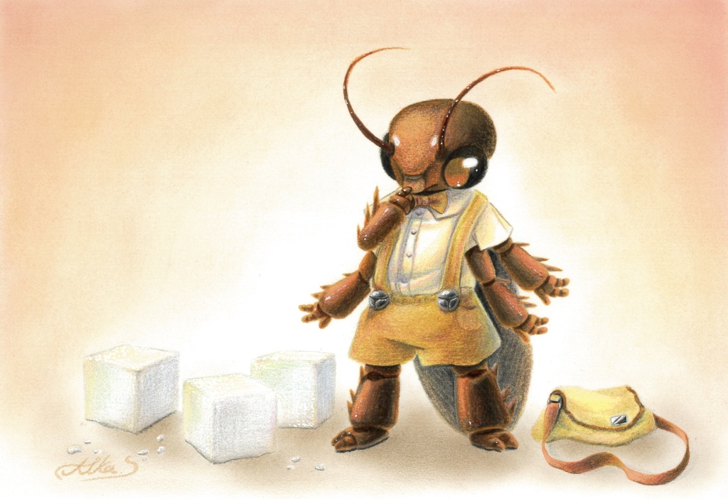 1weekSALE「きょうのおやつ」