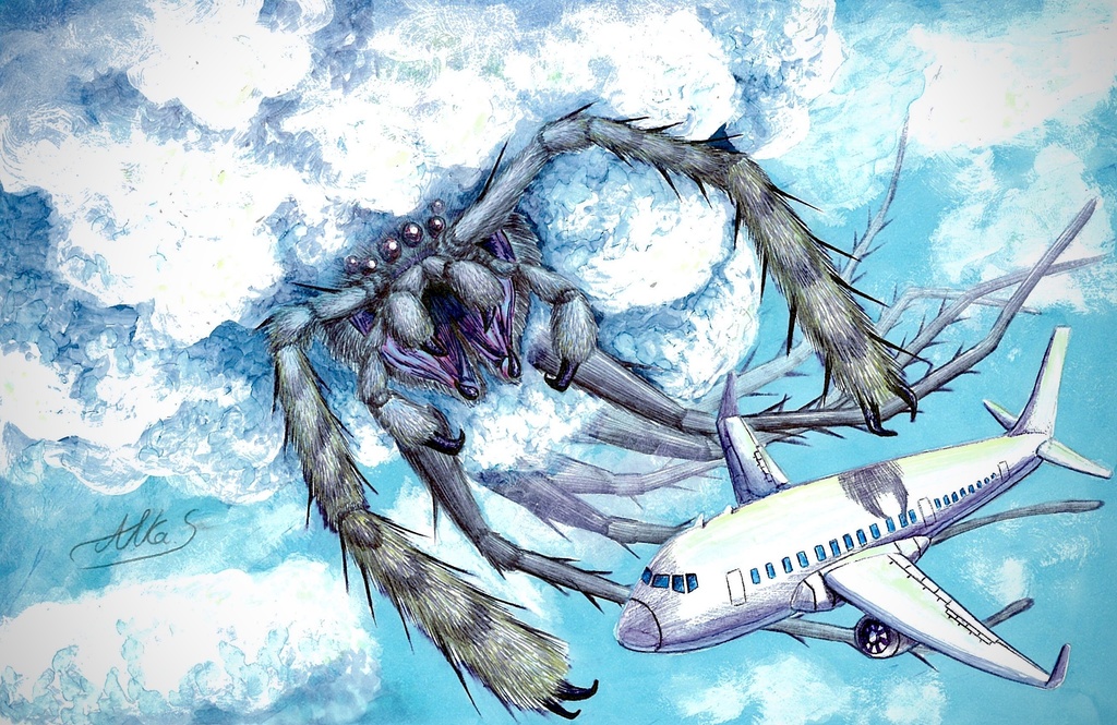 1weekSALE「綿蜘蛛」