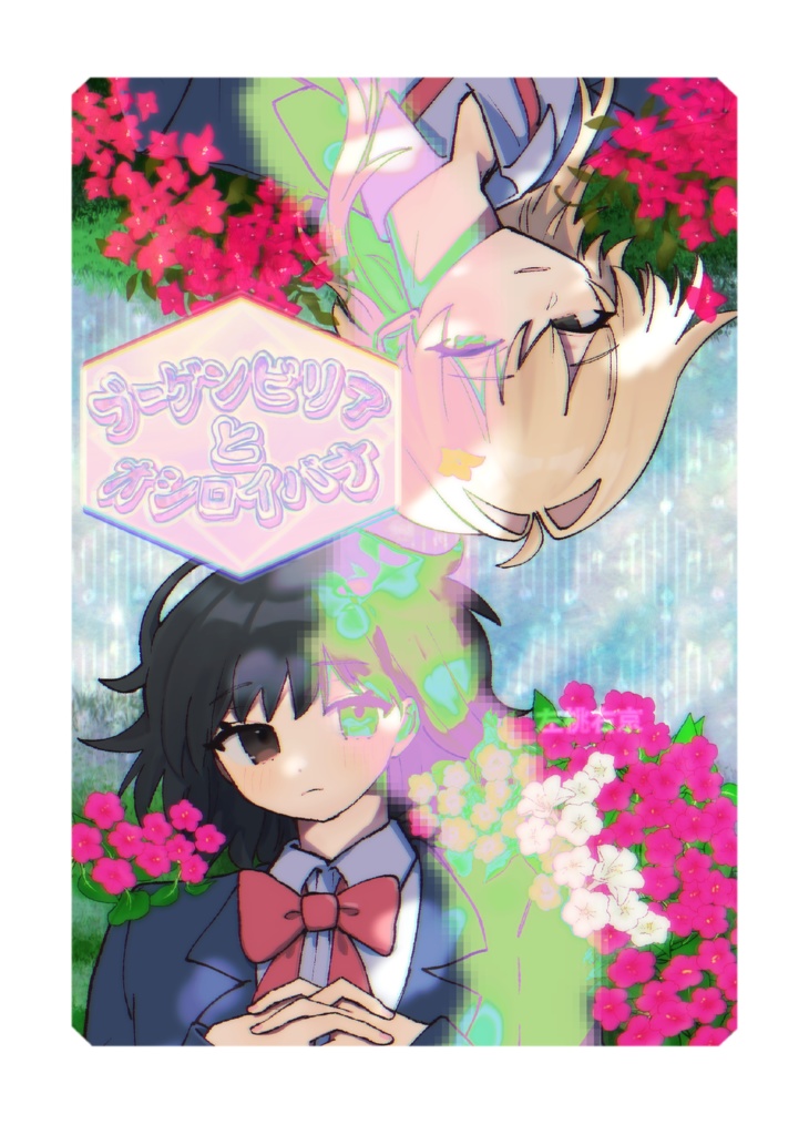 ブーゲンビリアとオシロイバナ