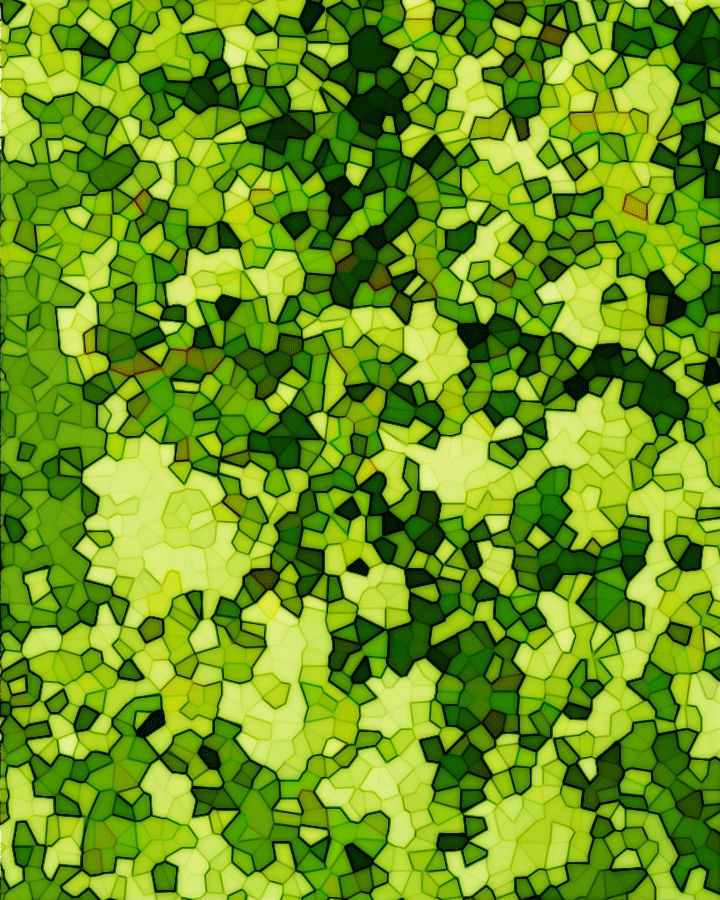 テクスチャ・自然物