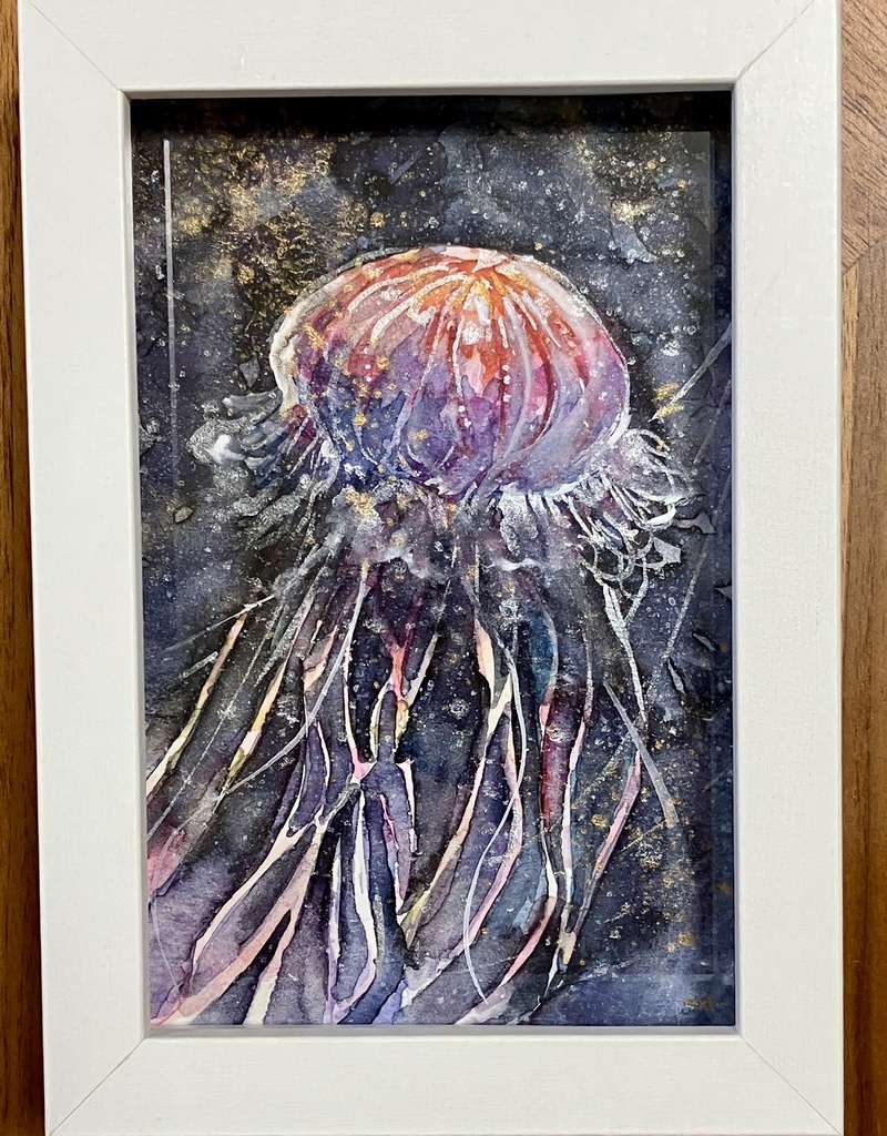 星海月