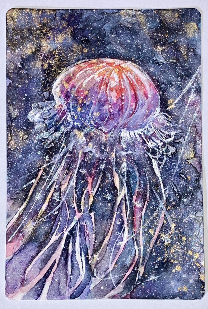 星海月