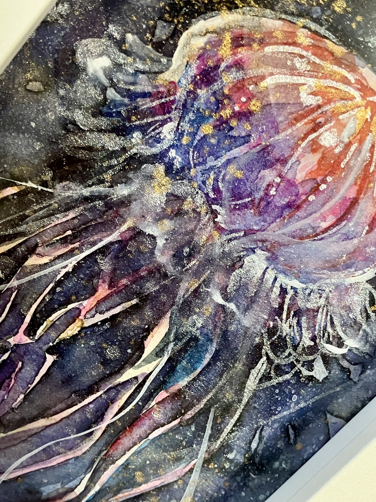 星海月
