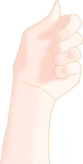 Wand-holding Hand Asset