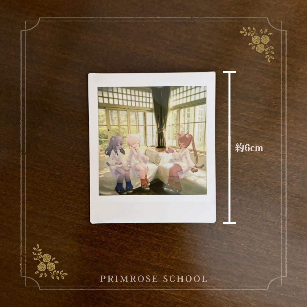 ポラロイド写真セット(3種類)