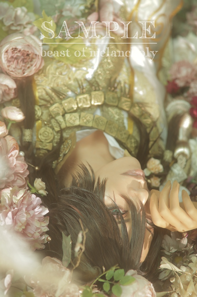 《Beast of Melancholy》※単品