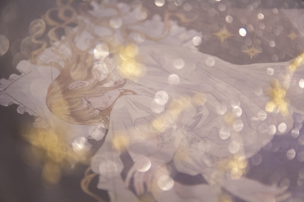 【夢の三部作】insomniadorn / narcolepsyard set