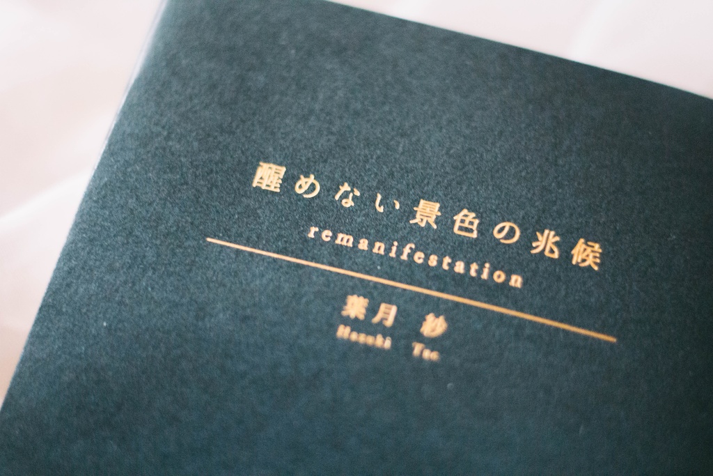 【夢の三部作】remanifestation  -醒めない景色の兆候 -