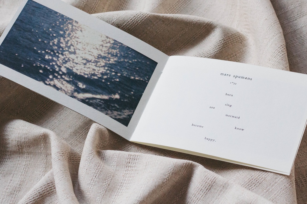 fernweh 1st single "fluctuat"