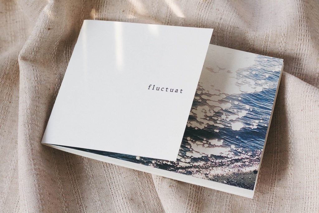 fernweh 1st single "fluctuat"