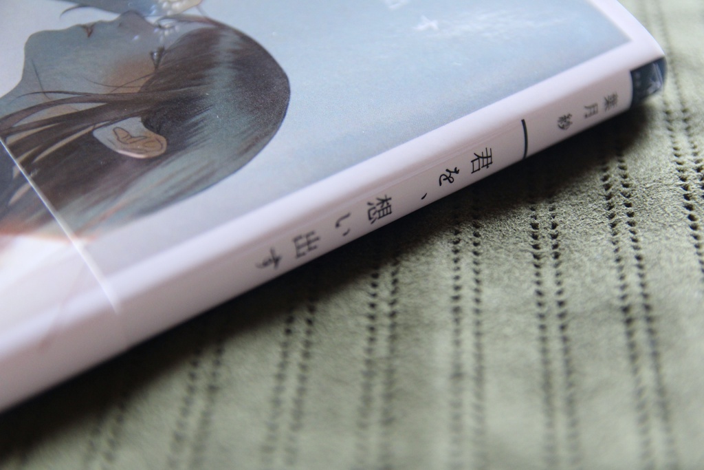 【特典付】君を、想い出す - 文庫本×挿絵集セット-