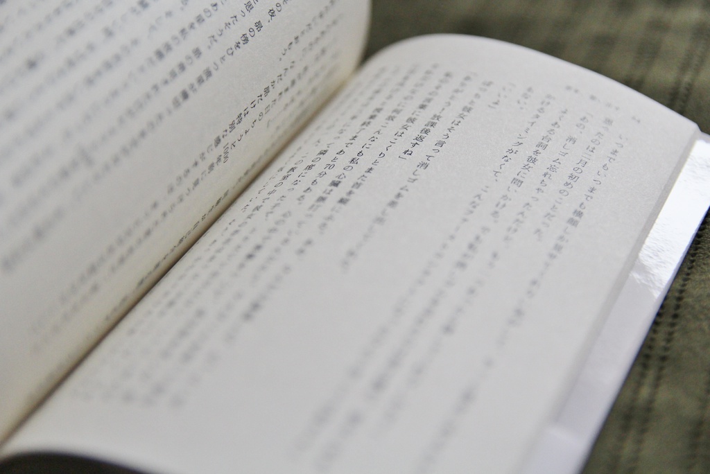 【特典付】君を、想い出す - 文庫本×挿絵集セット-