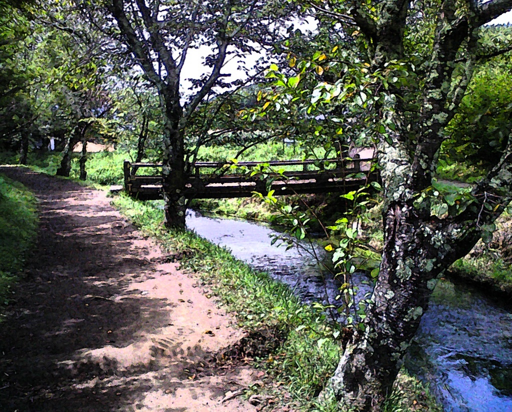 コラボCD【向日葵のタネ】