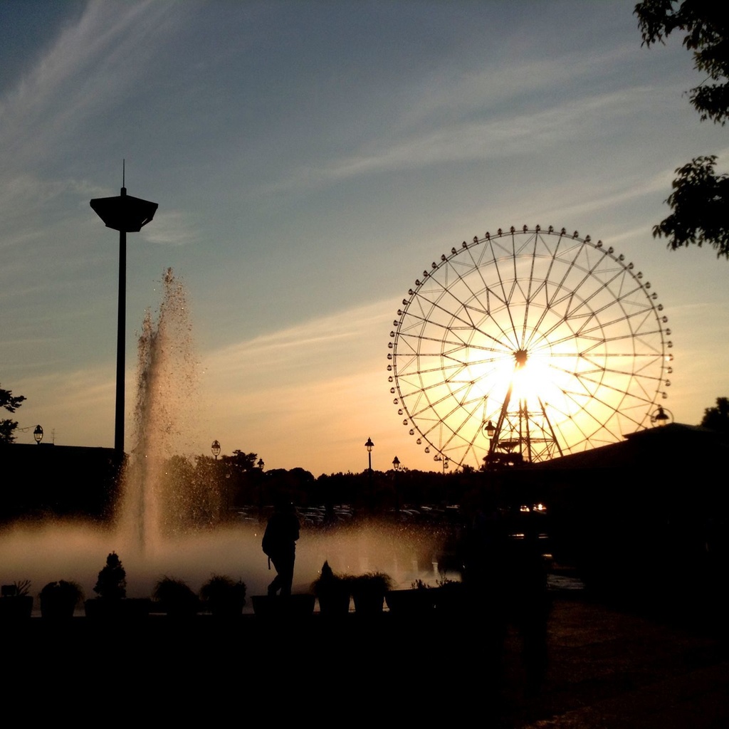 コラボCD【向日葵のタネ】