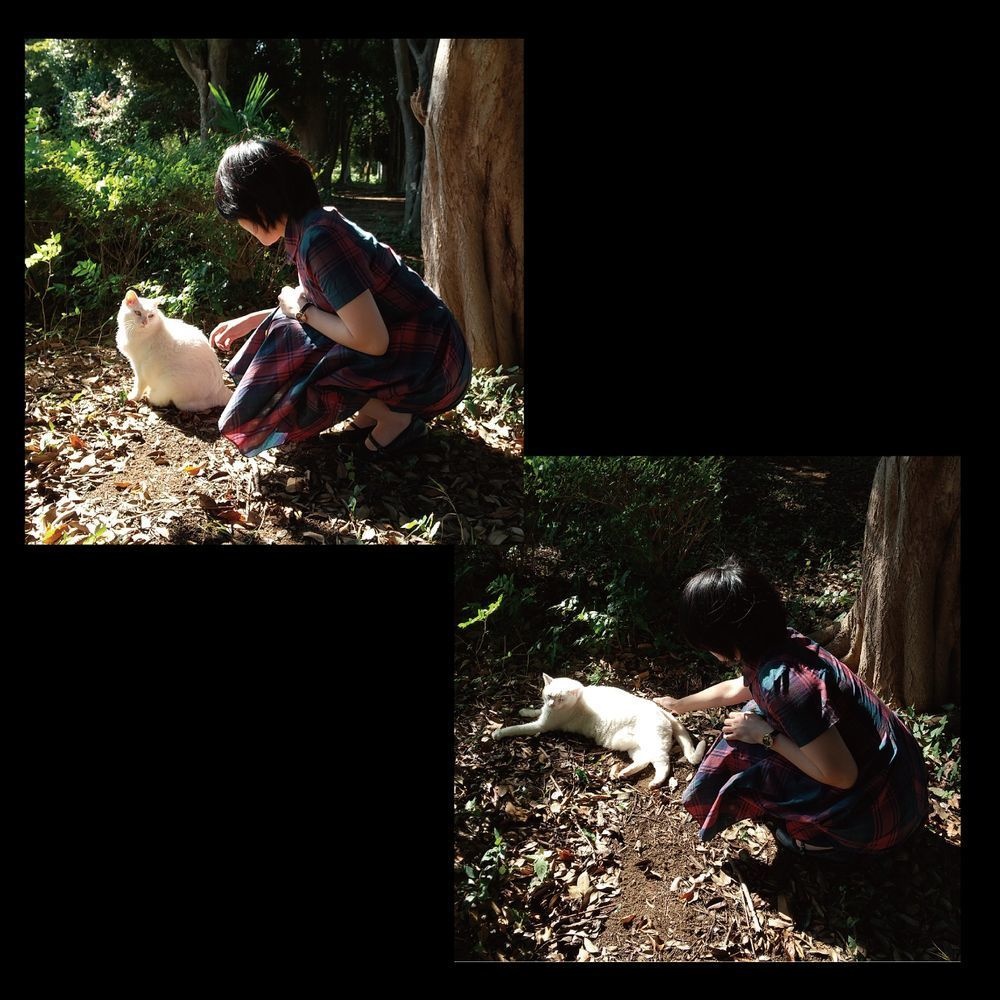 BGM素材【Piano Ambientronica】ピアノ 鍵盤ラグジュアリー