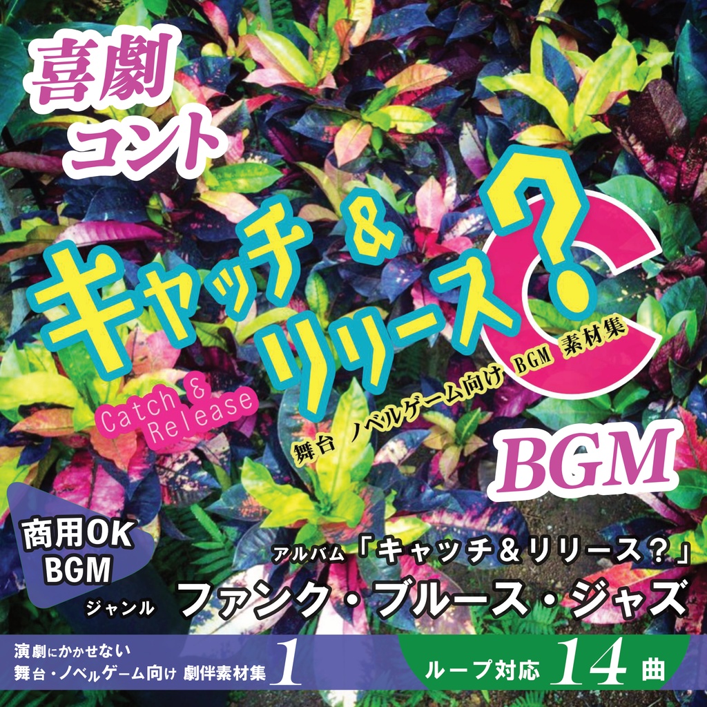 ループBGM【キャッチ&リリース？】