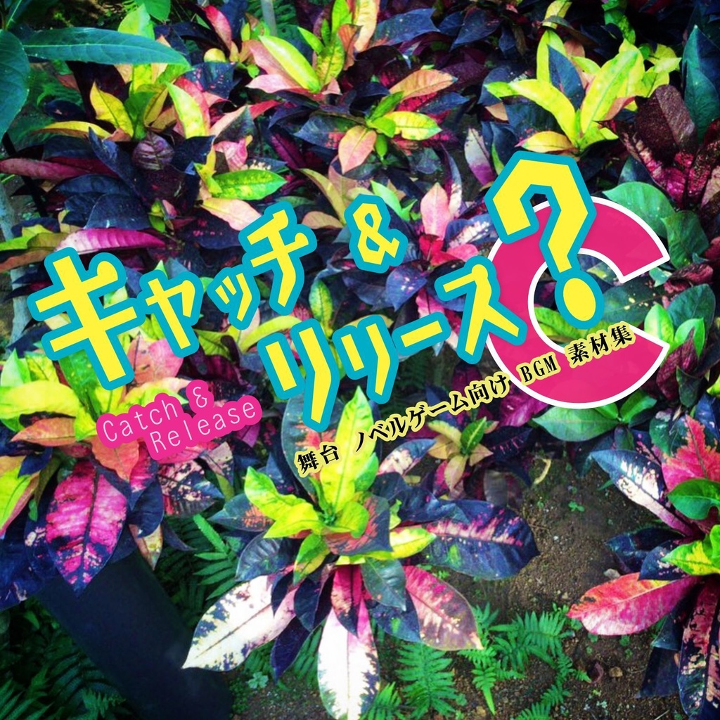 ループBGM素材【キャッチ&リリース?】喜劇 コント 舞台 感動 使いやすい シンプル