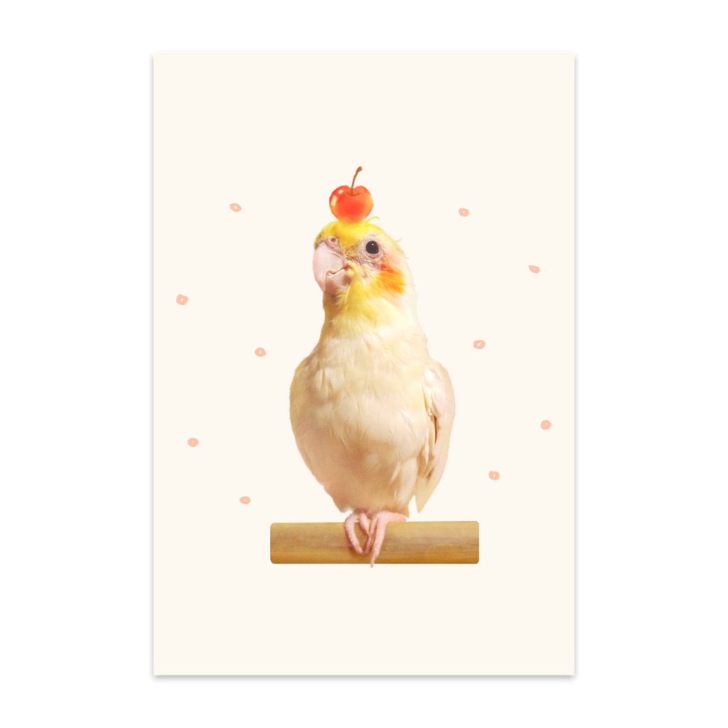 ポストカード￤さくらんぼのせ隊