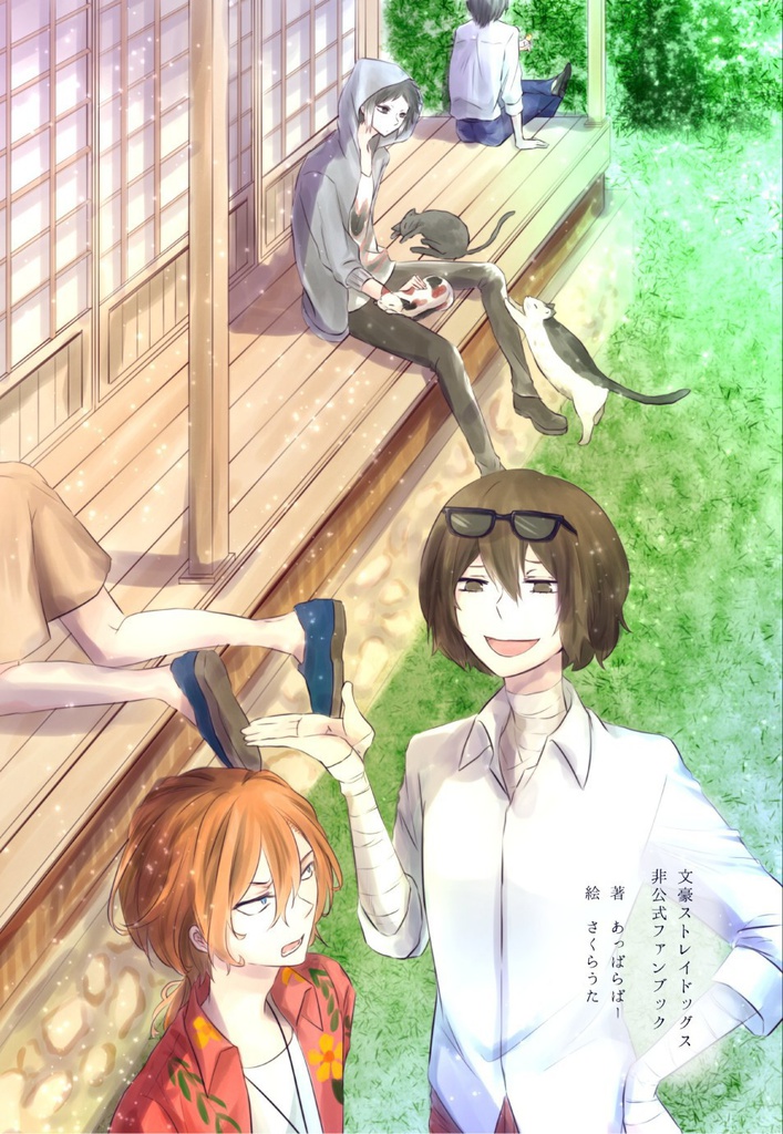 めぞんどらこにあ