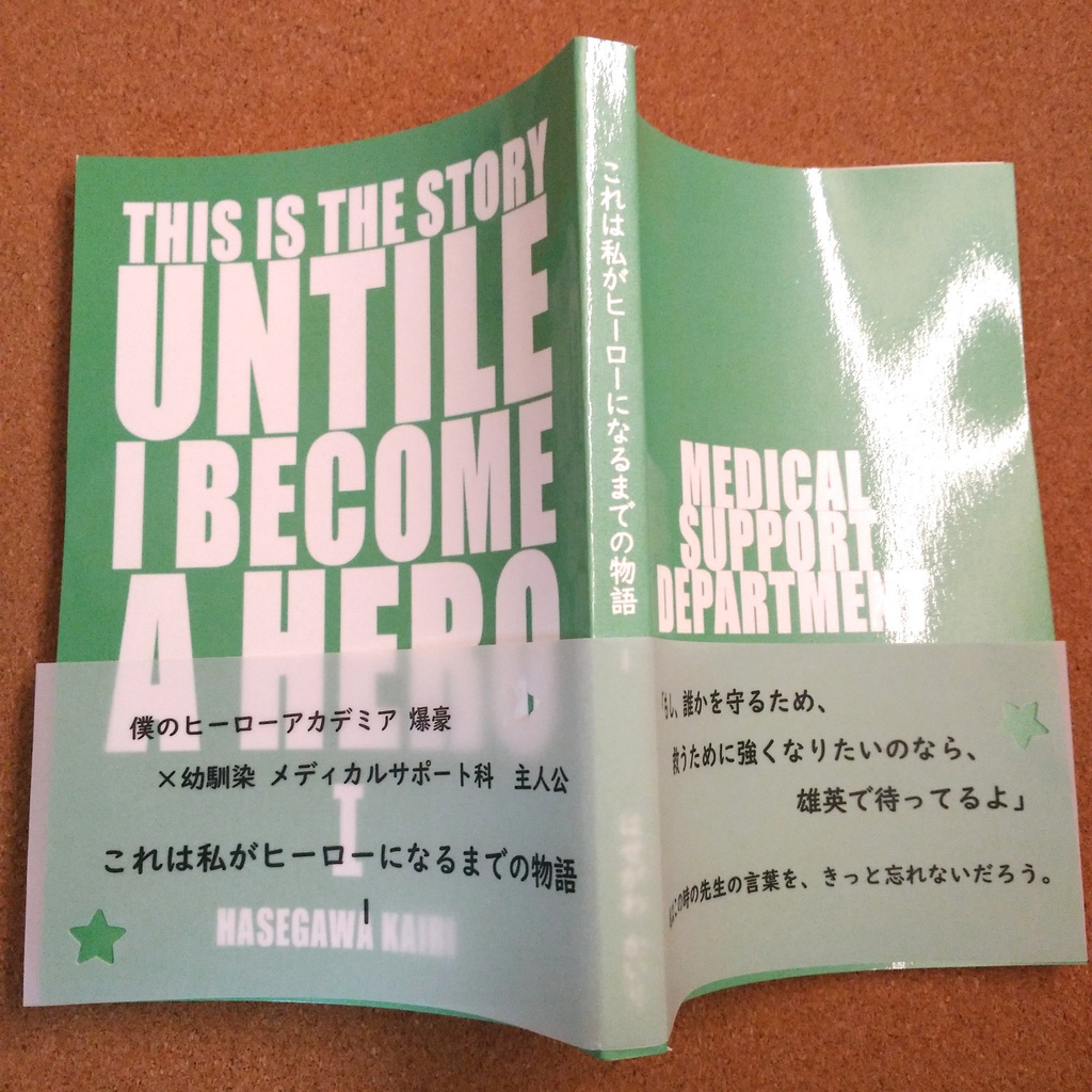 これは私がヒーローになるまでの物語(1)