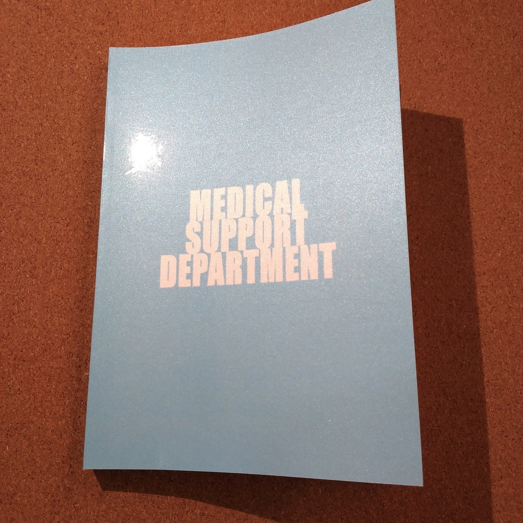 これは私がヒーローになるまでの物語(2)