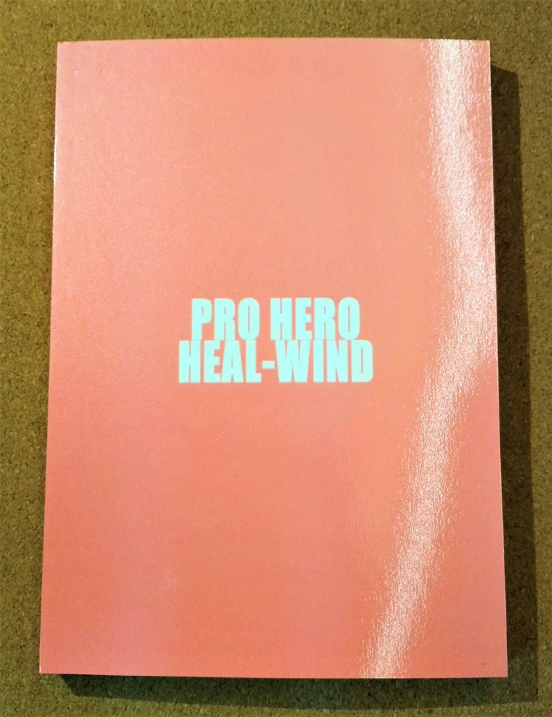 これは私がヒーローになってからの物語(1)