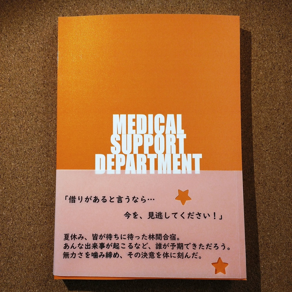 これは私がヒーローになるまでの物語(3)