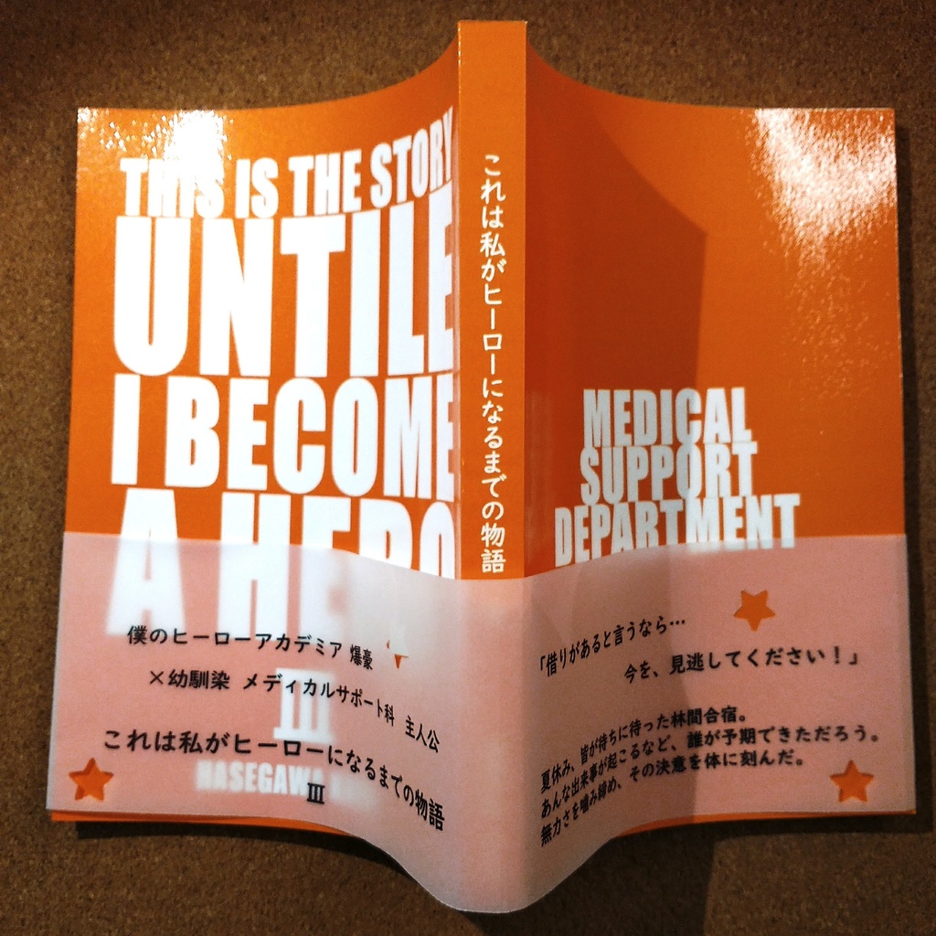 これは私がヒーローになるまでの物語(3)