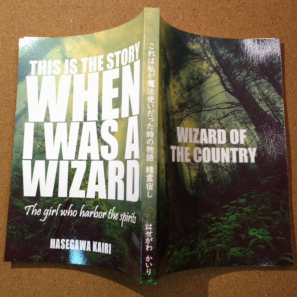 これは私が魔法使いだった時の物語(精霊宿し)