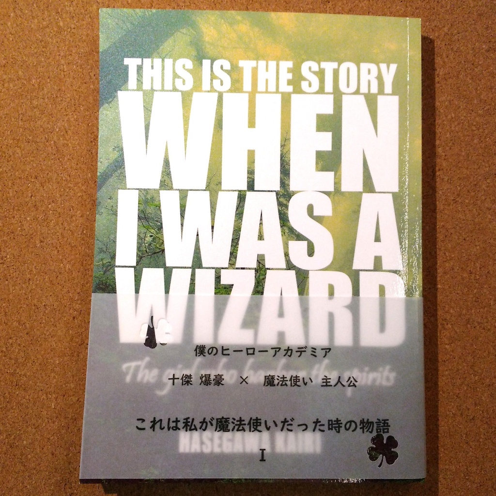 これは私が魔法使いだった時の物語(精霊宿し)