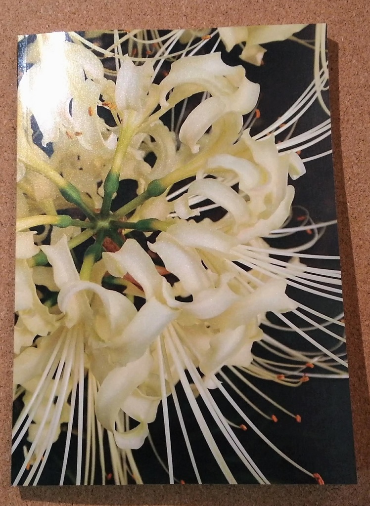 この世で最初の生を受け、