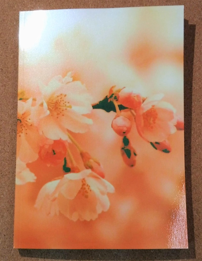 この世で三度目の生を受け、(改定ver)