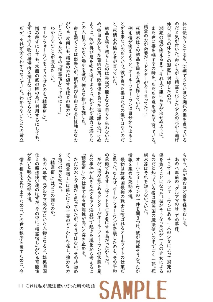 これは私が魔法使いだった時の物語(二筋の光)