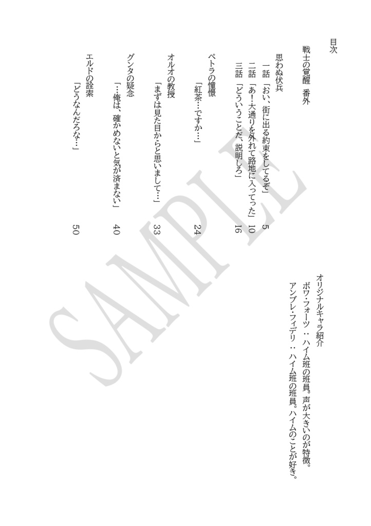 戦士の覚醒 番外