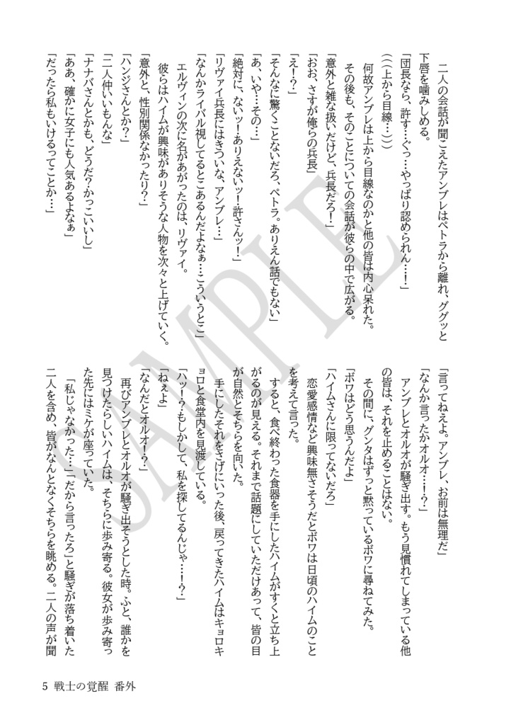 戦士の覚醒 番外