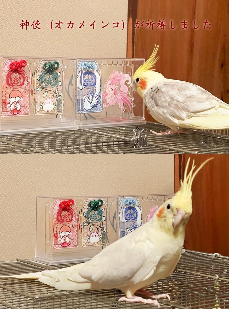 お守り&おみくじセット