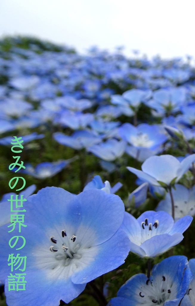 きみの世界の物語