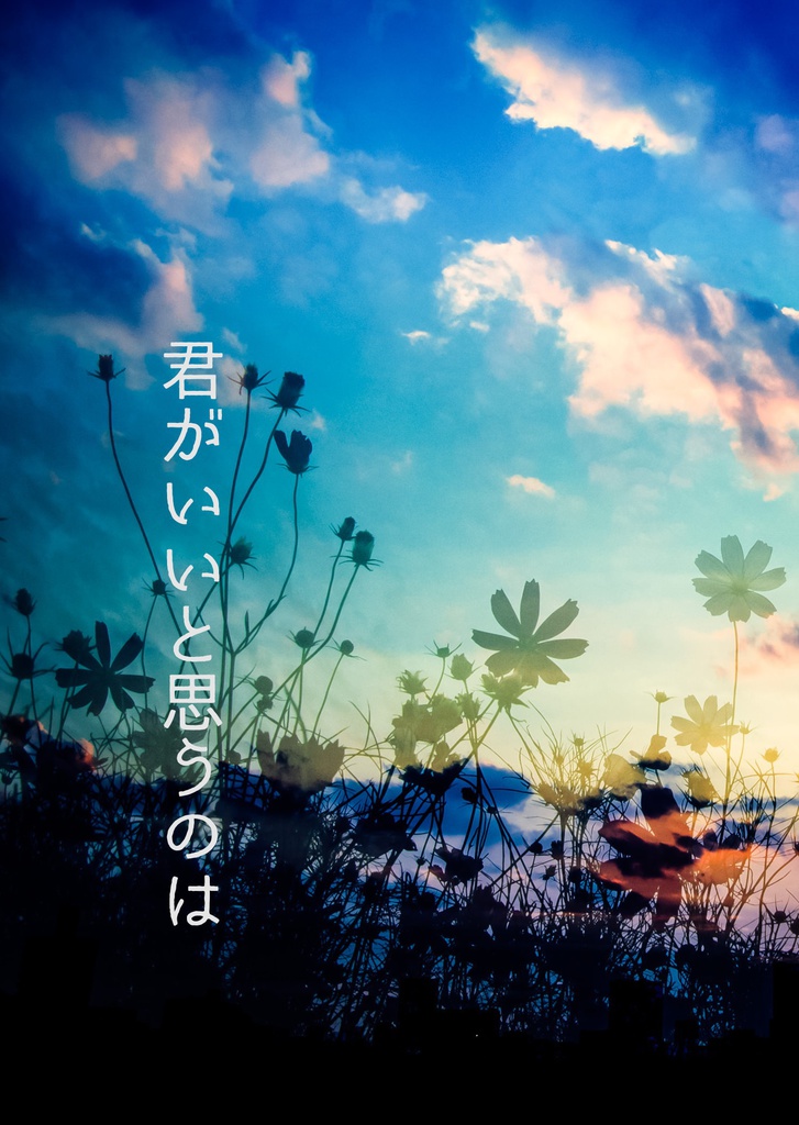 君がいいと思うのは