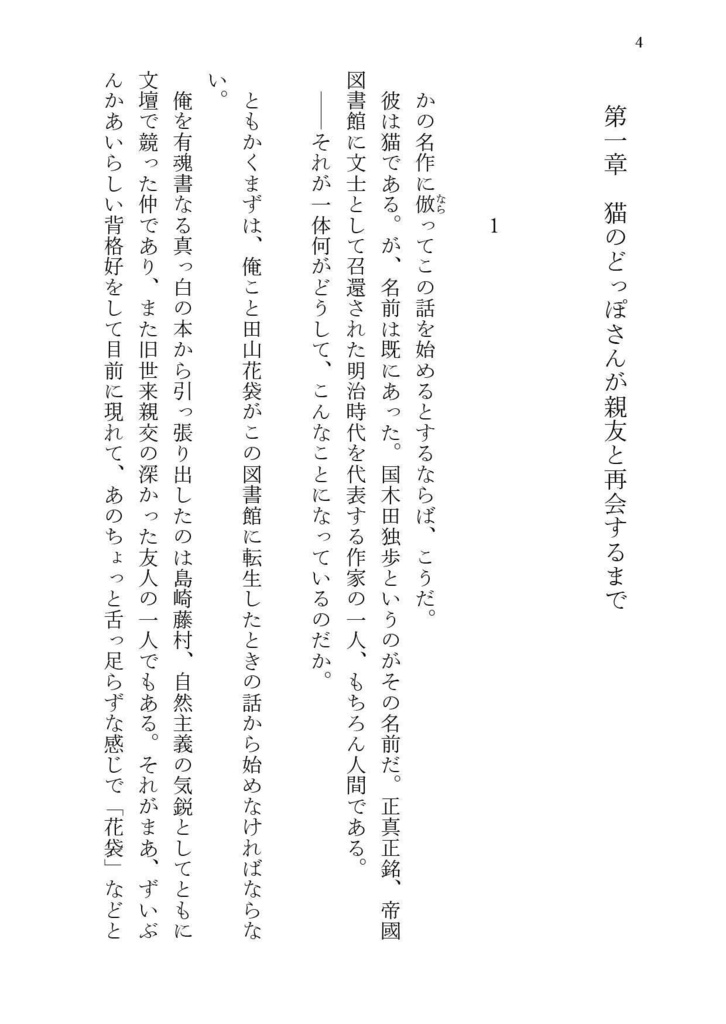 猫のどっぽさんの今までのこと