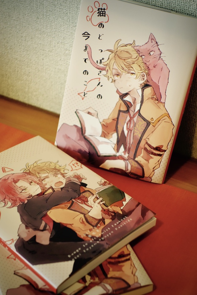 猫のどっぽさんの今までのこと