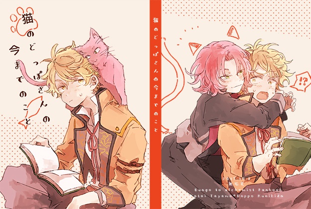 猫のどっぽさんの今までのこと