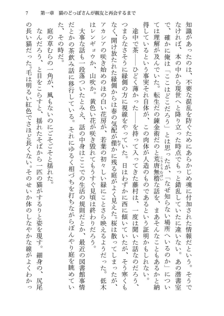 猫のどっぽさんの今までのこと