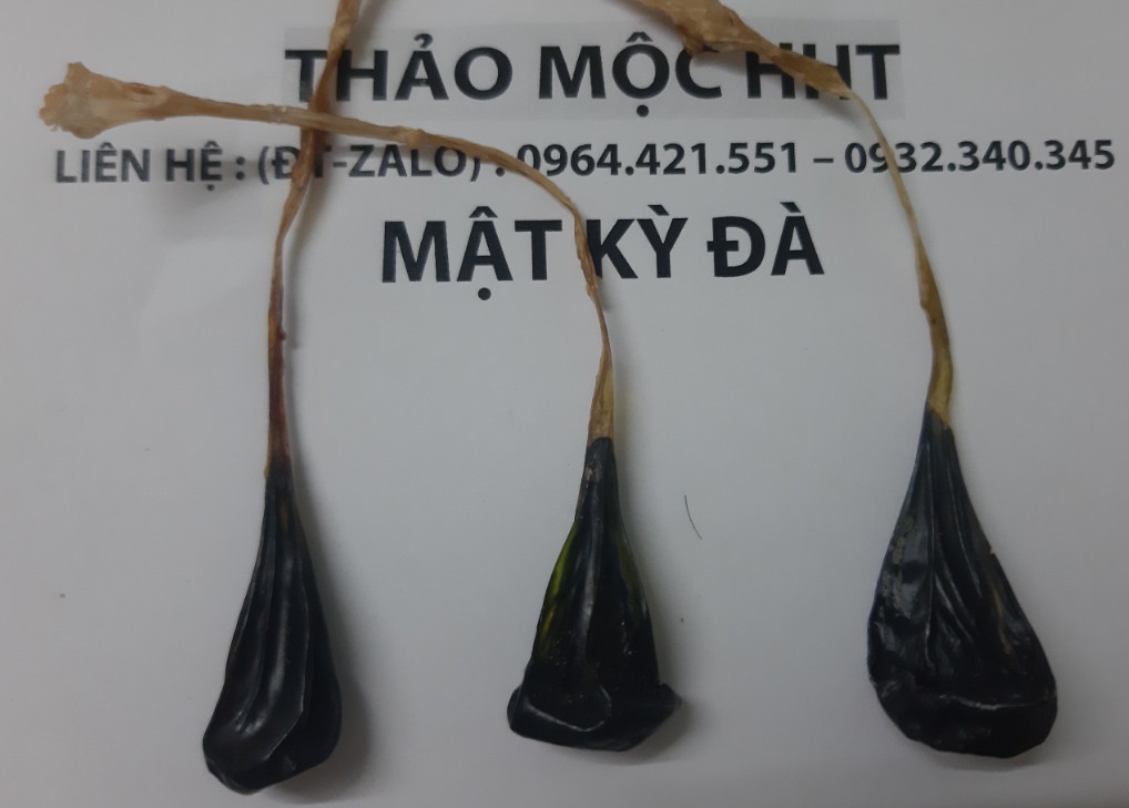 Mật kỳ đà