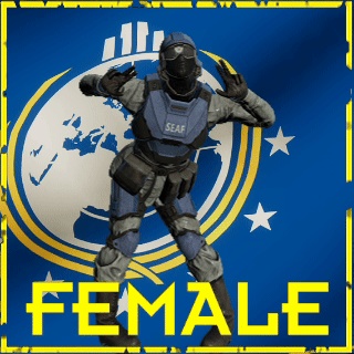 SEAF Soldier Uniform | Helldivers 2