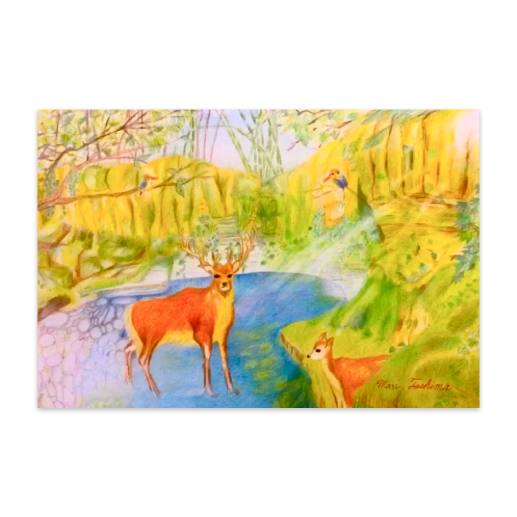 POST CARD ❤︎ Paradise of light