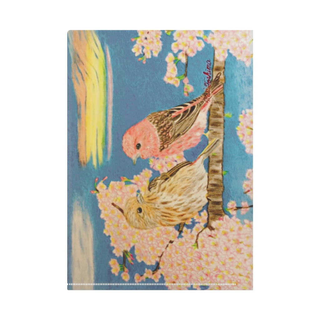 Dream collaborationⅢ 桜&ROSE FINCH