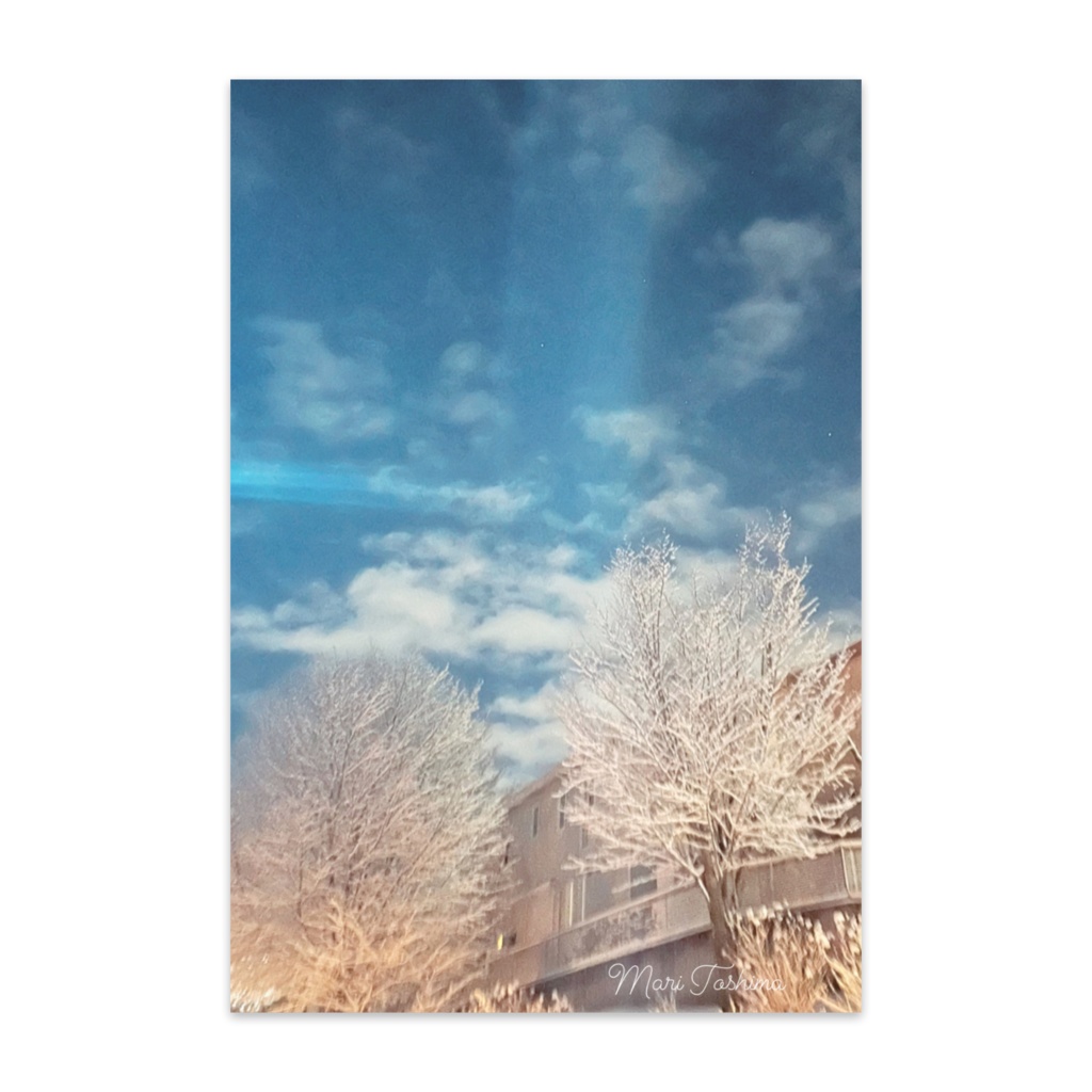 Snow light