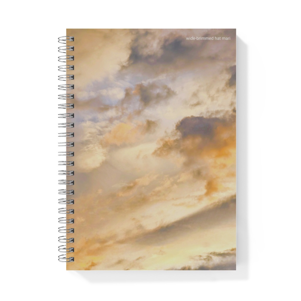 A graceful sky of marble color