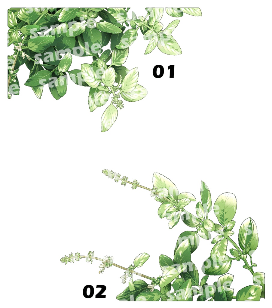 植物カラー素材01