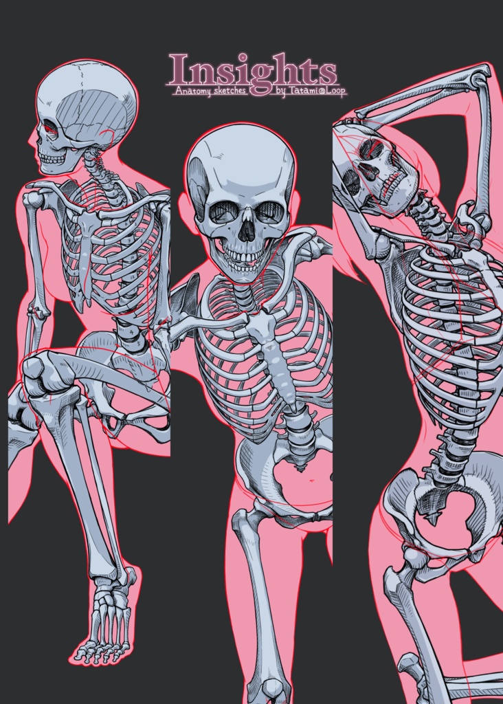 【製本版】C103新刊「Insights-Anatomy sketches by Tatami@Loop-」